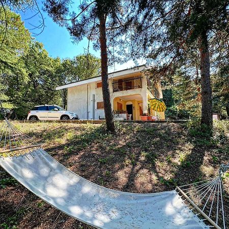 Majella Green House Roccamontepiano Zewnętrze zdjęcie