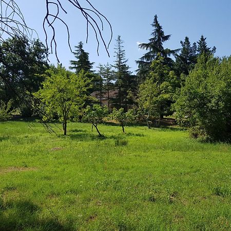 Majella Green House Roccamontepiano Zewnętrze zdjęcie