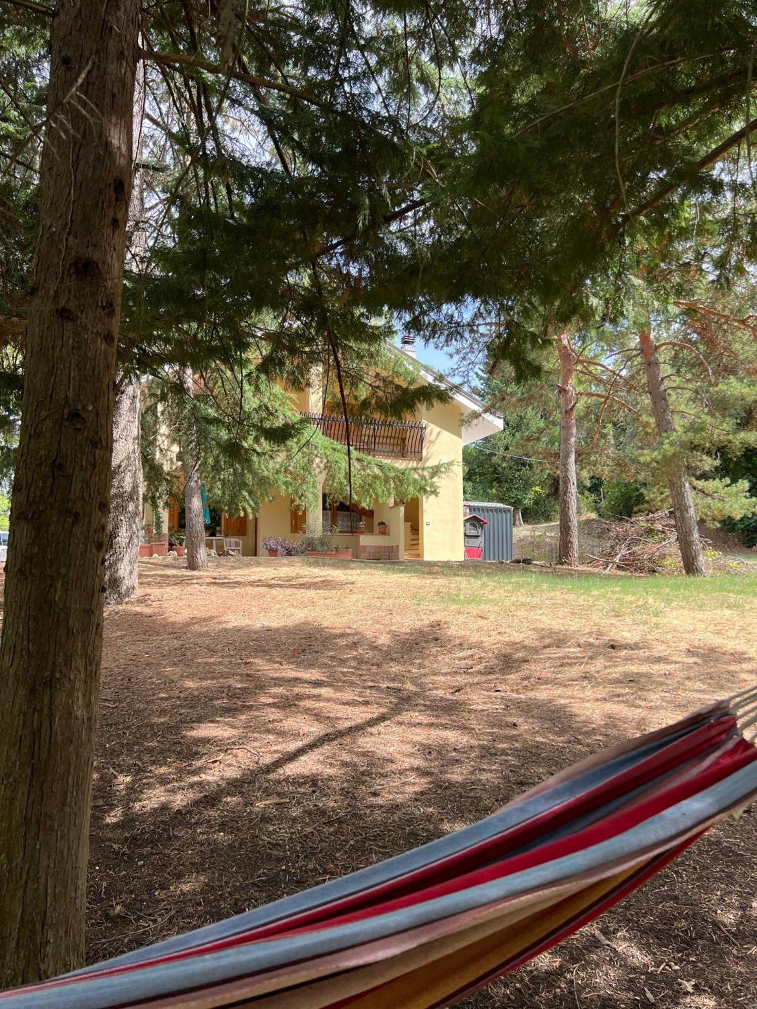 Majella Green House Roccamontepiano Zewnętrze zdjęcie